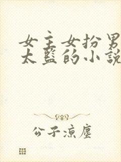 女主女扮男装是太监的小说