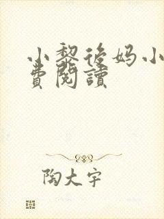 小黎后妈小说免费阅读