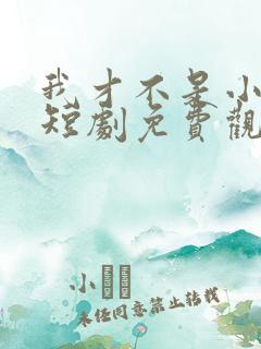 我才不是小可怜短剧免费观看