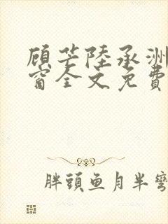 顾芒陆承洲无弹窗全文免费阅读