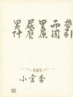 男尿里面带血是什么原因引起的