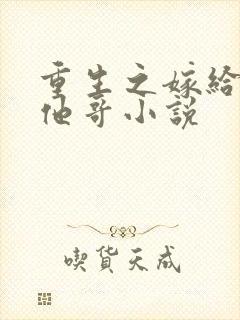 重生之嫁给前任他哥小说