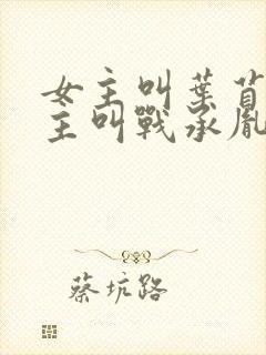 女主叫叶苜苜男主叫战承胤的小说