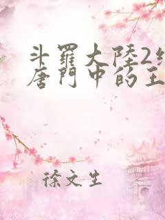 斗罗大陆2绝世唐门中的王冬