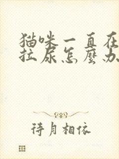 猫咪一直在床上拉尿怎么办