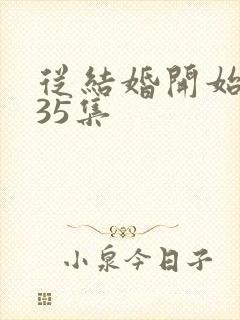 从结婚开始恋爱35集