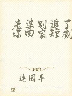 老婆别追了我跟你回家短剧免费观看全集