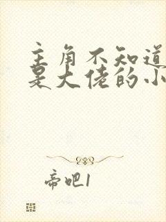 主角不知道自己是大佬的小说