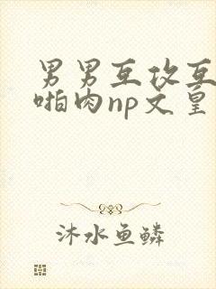 男男互攻互爱h啪肉np文皇帝