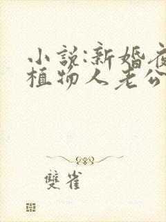 小说:新婚夜,植物人老公突然醒了