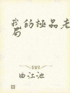 我的极品老婆结局