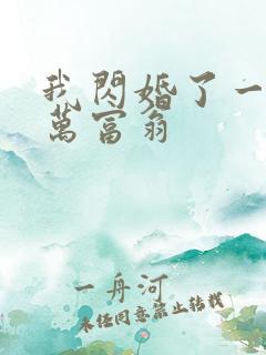 我闪婚了一个亿万富翁