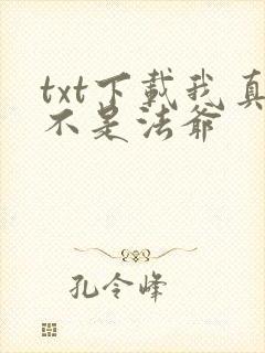 txt下载我真不是法爷