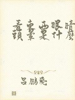 看东西眼睛模糊头晕是什么原因