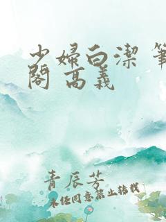 少妇白洁 笔趣阁 高义