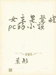 女主是觉醒的npc的小说