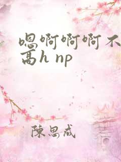 嗯啊啊啊不要啊高h np