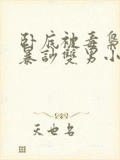 卧底被毒枭囚禁暴吵双男小说