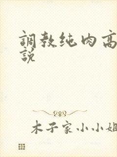 调教纯肉高h小说
