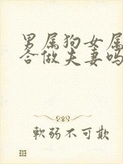 男属狗女属马适合做夫妻吗