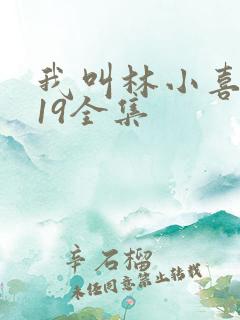 我叫林小喜今年19全集