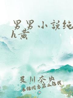 男男小说纯肉高h黄