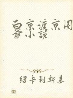 白京渡京圈太子爷小说