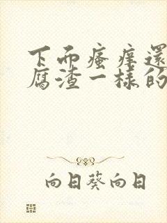 下面瘙痒还有豆腐渣一样的分泌物是怎么回事