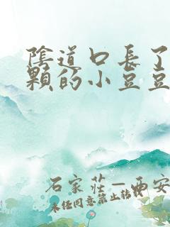 阴道口长了一颗颗的小豆豆