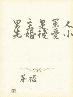 男主是军人相亲先婚后爱小说