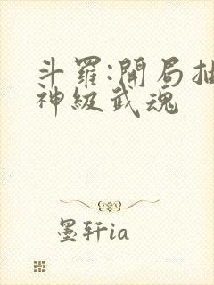 斗罗:开局抽到神级武魂