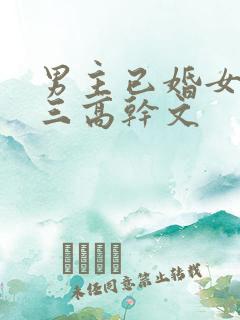 男主已婚女主小三高干文