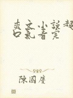 爽文小说超长一口气看完