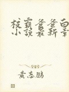 校霸爸爸白皑草小说最新章节更新时间