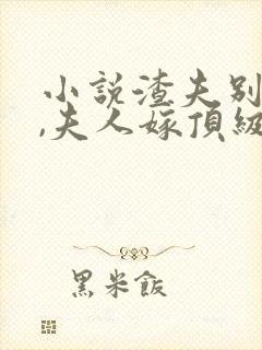 小说渣夫别跪了,夫人嫁顶级大佬显怀了