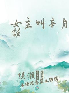 女主叫辛月的小说