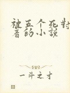 被五个死对头压着的小说