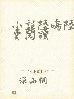 小说陆鸣陆瑶免费阅读