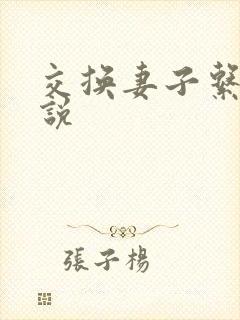 交换妻子系列小说