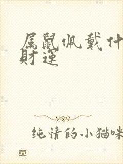 属鼠佩戴什么旺财运