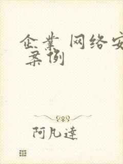 企业 网络安全 案例