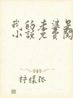 我的老婆是总裁小说免费阅读全文