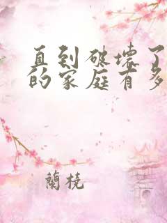 直到破坏了丈夫的家庭有多少集电视剧