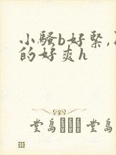 小骚b好紧,日的好爽h