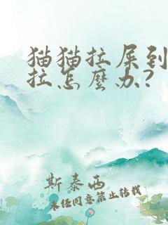 猫猫拉屎到处乱拉怎么办?