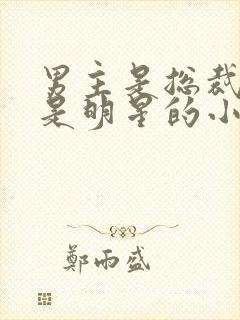 男主是总裁女主是明星的小说