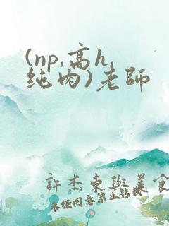 (np,高h,纯肉)老师
