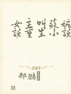 女主叫苏婉的小说重生小说