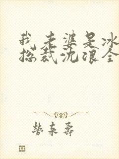 我老婆是冰山女总裁沈浪全集