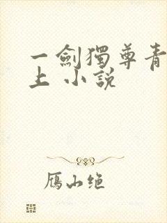 一剑独尊青鸾峰上 小说